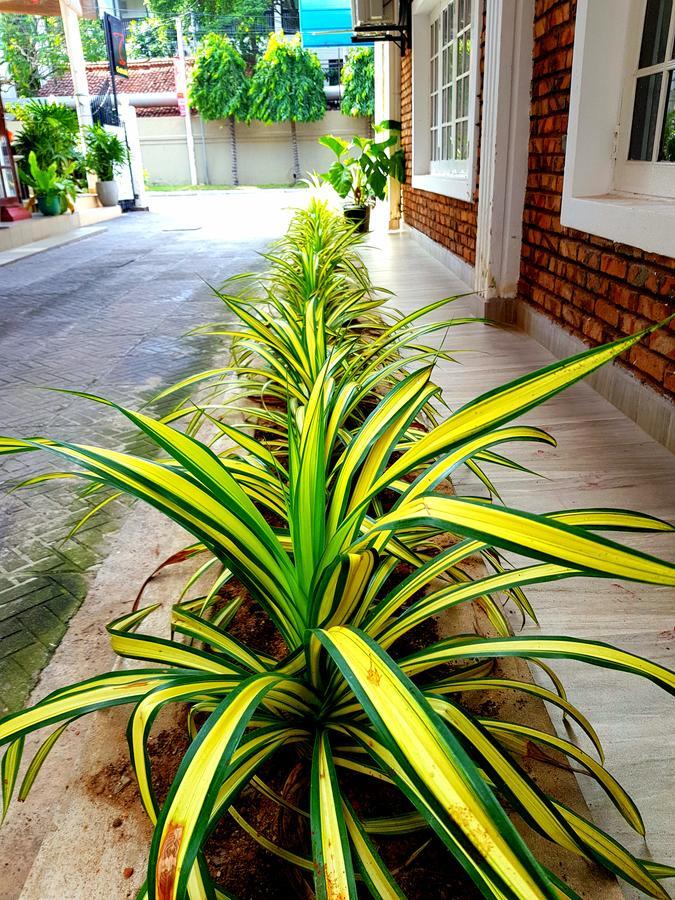 Oasis Beach Hotel Negombo Bagian luar foto